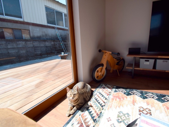 日当たりのよい窓辺は愛猫のお気に入り 有限会社 吉田建築の施工事例 【戸建てリノベーション】ロックと愛猫と過ごす家 thumbnail