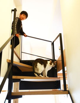 階段 株式会社ホームライフの施工事例 ひとつながりの開放的な空間で子どもも猫たちものびのび暮らせる平屋
