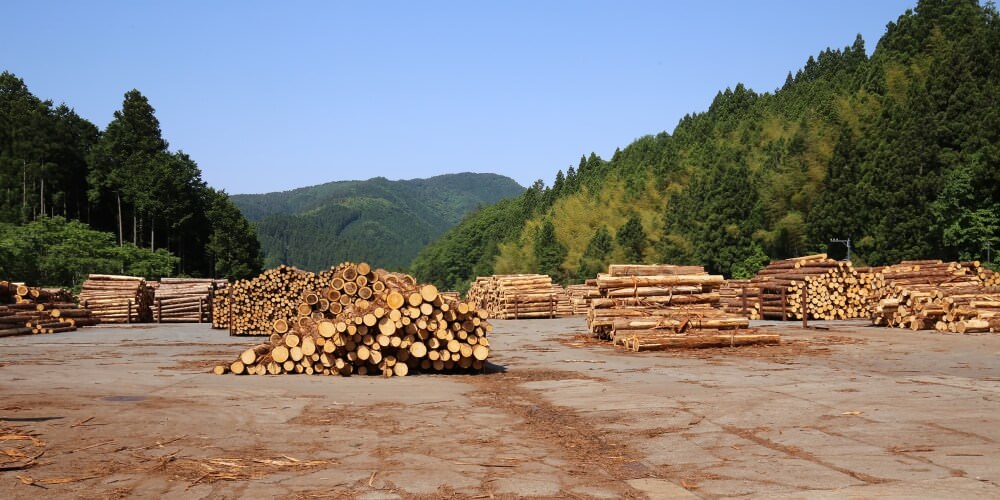 国産材を使った木造住宅