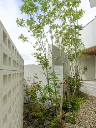 光と風に包まれたやすらぎスペースを彩る 三井ホーム株式会社の施工事例 内と外、2つのリビングに癒される家です。