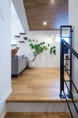 階段 三菱地所ホーム株式会社の施工事例 全館空調による清潔な空気で、人も猫もいっしょに快適に暮らせる家