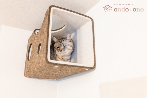 【にゃんぺき】猫ちゃんの好奇心をくすぐる穴のあいたトンネル♪とっておきの隠れ家になります。