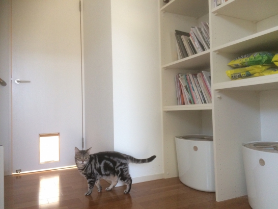 自由に動き回れるペットドアを採用 株式会社AQ Group（アキュラホーム）の施工事例 愛猫ものびのび暮らせる平屋の住まい