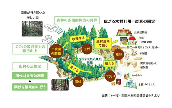 【日本の森林を守る】 檜・木造住宅
