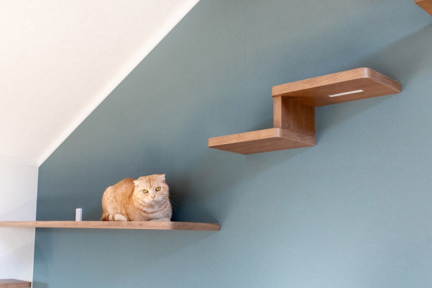 ちょこんと座る姿もかわいい猫ちゃん用ステップ セナリオハウス（広島建設株式会社）の施工事例 【猫と暮らす】愛猫もお気に入りの2階リビング