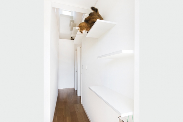 2階廊下には、猫たちが遊べるよう吹き抜けを利用してキャットウォークを設けました。 セナリオハウス（広島建設株式会社）の施工事例 猫と暮らす。快適な住まい。