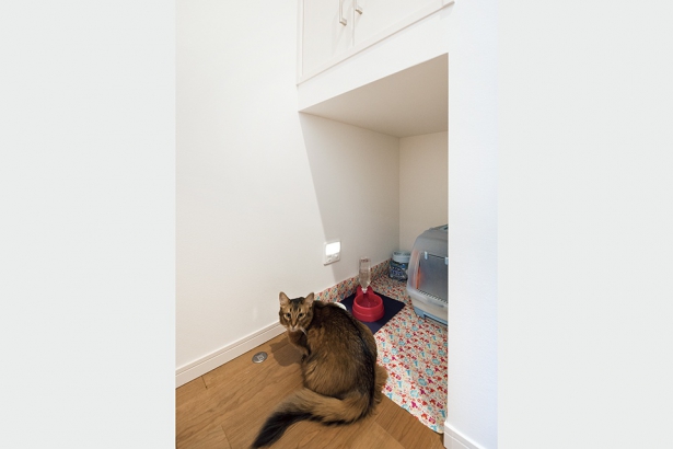 階段下はペット室として利用しています。上部に換気扇を設け快適な環境を整えました。 セナリオハウス（広島建設株式会社）の施工事例 猫と暮らす。快適な住まい。
