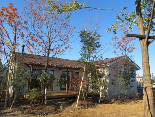  ファンスタイル一級建築士事務所の施工事例 植物のある暮らしを楽しむ『熊谷の家』